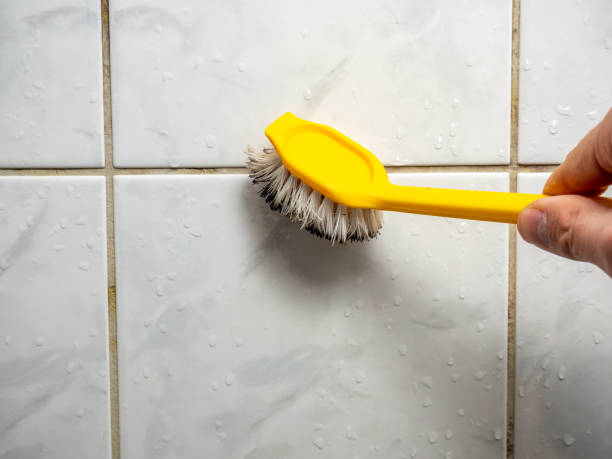 Best Industrial Mold Remediation in Elma, WA